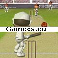 Flash Cricket 2 SWF Game